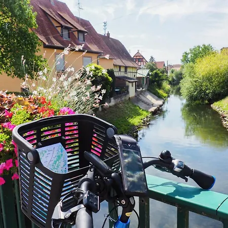 Bed & Breakfast Alsace Cosy 4*