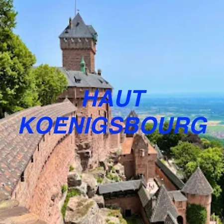 Alsace Cosy Schoenau