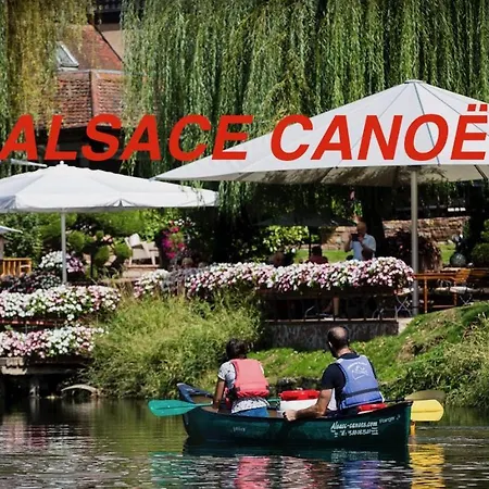 Bed & Breakfast Alsace Cosy Schoenau