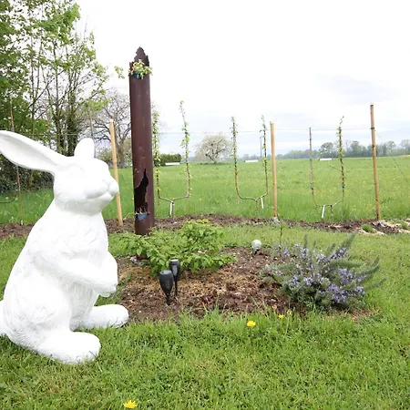 Bed & Breakfast Alsace Cosy Schoenau