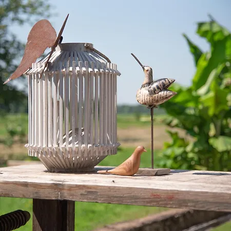 Bed & Breakfast Alsace Cosy