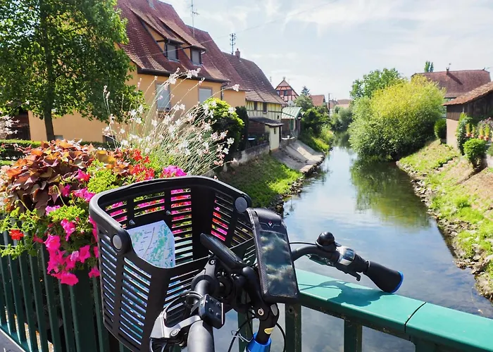 Bed & Breakfast Alsace Cosy 4*